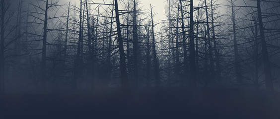 dead tree in forest and atmospheric fog