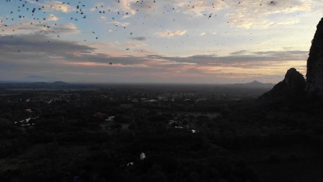 The swarm of bats fly in rows from the cave at sunset.