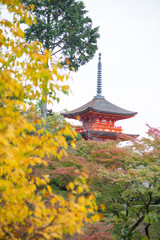 Beautiful Pagoda in Kiyomizu-dera Temple in Kyoto, Japan