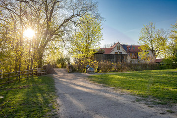 Harz Wanderung durch den Wald am Luxgehege in Badharzburg