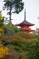Naklejka premium Beautiful Pagoda in Kiyomizu-dera Temple in Kyoto, Japan