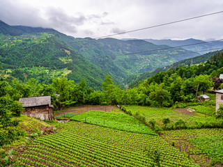 Naklejka premium Mountain landscape with vegetable garden in Adjara, Georgia