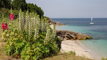 beach in Groix
