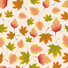 leaves maple trees pattern autumn seamless background color illustration