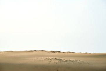 Sindu-ri Coastal Sand Hills in Taean-gun, South Korea.