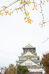 Naklejka premium Osaka Castle in autumn season at Osaka, Japan