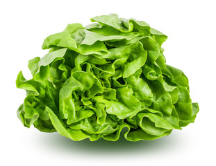 Fresh lettuce isolated on white background with clipping path