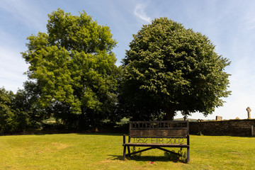 An old bench on a street in the center of the town of Whitecombe in the English county of Devon in Dartmoor. In the background are beautiful trees in the sunshine.