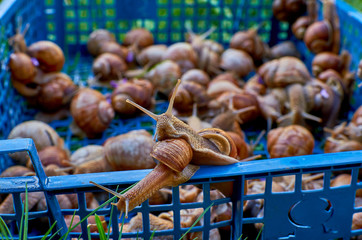 wonderful world around us