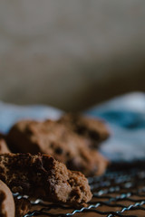Homemade cookies fresh from the oven. View of fresh and handmade cookies.