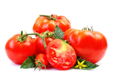 Fresh tomatoes on white background