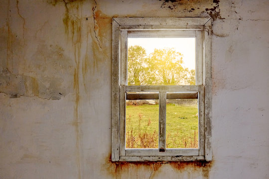 Interior of a ruined house with old, dirty and cracked white wall and a broken window frame with a green meadow field view