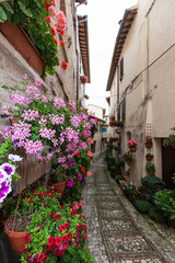 Fototapeta na wymiar The village of Spello in Italy