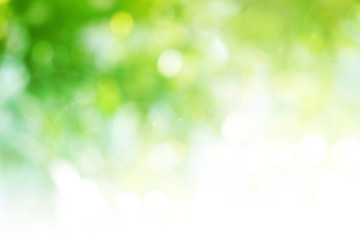 Free Stock Photo of Bokeh  Green Background  Download Free Images and  Free Illustrations