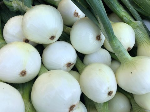 Sweet Onions at the Farmers Market