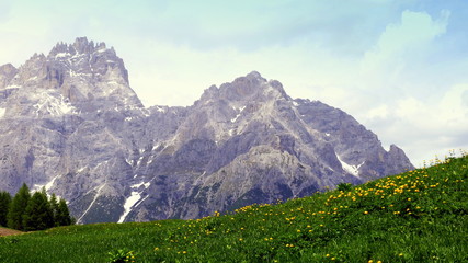 Landschaft in den Dolomiten mit Wiese und vielen Trollblumen im Vordergrund