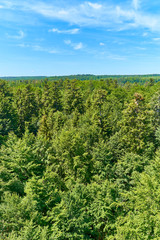 Fototapeta na wymiar Panoramic view over Black Forest in Germany