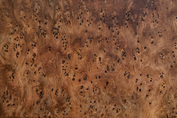 Nature TABAK burl wood striped, Exotic wooden beautiful pattern for crafts