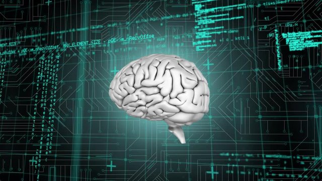 Brain and a digital circuit with program codes