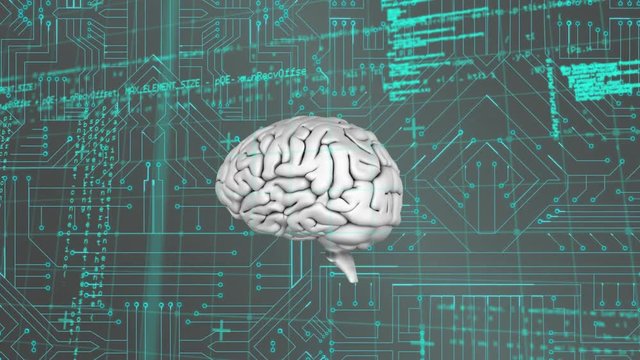 Brain and program codes with digital circuit