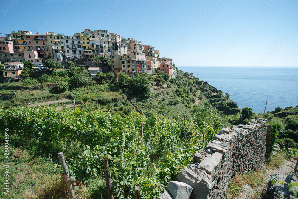 Wall mural Corniglia town at Cinque Terre, Italy in the summer