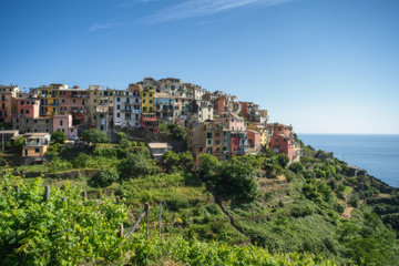Fototapeta na wymiar Corniglia town at Cinque Terre, Italy in the summer