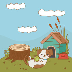 Dog cartoon design vector illustrator