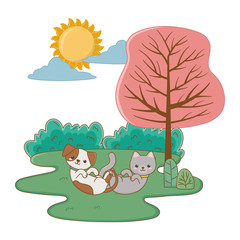 Obraz na płótnie Canvas Cat and dog cartoon design vector illustrator