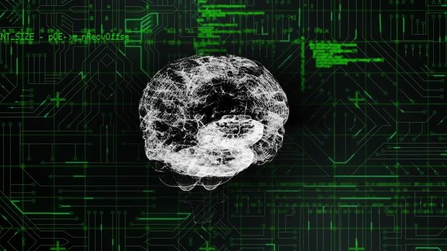 Digital brain and program codes with digital circuit