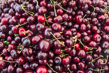 Cherries in close-up
