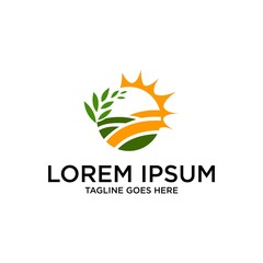 Modern cannabis logo templates. Several leaf and sacred geometry illustrations and symbols