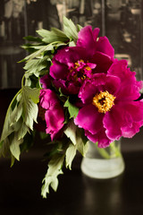 Petals Big beautiful pink peony.