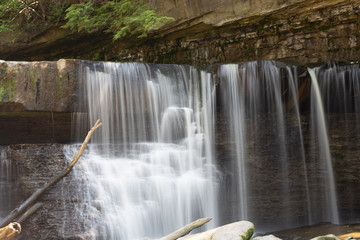 Lily of the valley #3