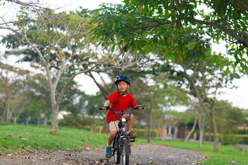 Cheerful Little Boy Riding a Bike