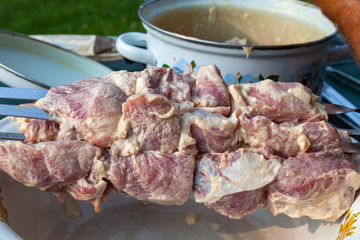 Close-up of raw meat in marinade with onions and mayonnaise on skewers for cooking kebabs on a plate. Picnic and food in nature and outdoors.
