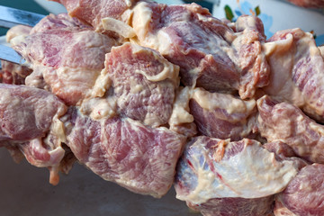 Close-up of raw meat in marinade with onions and mayonnaise on skewers for cooking kebabs on a plate. Picnic and food in nature and outdoors.