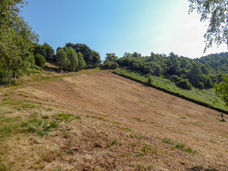 Fototapeta premium agricoltura di montagna: campo arato 