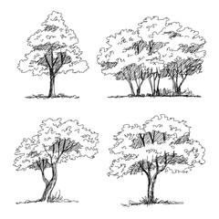 Set of hand drawn architect trees. Sketch Architectural illustration landscape