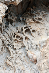 Tafoni honeycomb weathering formation on beige sandstone rock