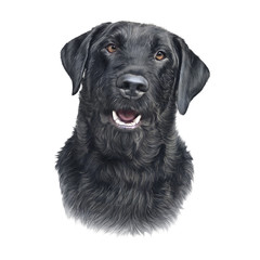 Fototapeta premium Illustration of the Black Labrador Retriever Dog isolated on white background. Animal art collection: Dogs. Hand Painted Illustration of Pet. Design template. Good for print on T-shirt, pillow, card