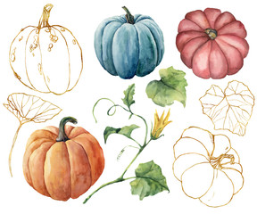 Watercolor set with golden gourds and leaves. Hand painted red, blue, orange and stripe pumpkins isolated on white background. Autumn festival. Botanical illustration for design, print or background.