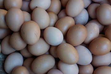 eggs