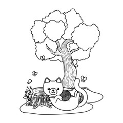 Cat cartoon design vector illustrator