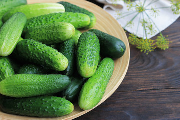 Farm cucumbers on wooden background. Close-up, copy space.