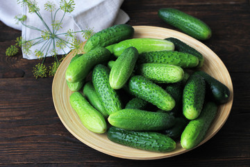 Farm cucumbers on wooden background. Close-up, copy space.