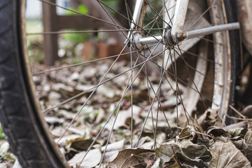 Rueda de bicicleta antigua sobre hojas