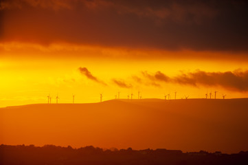 Fototapeta premium Sunset over wind farm