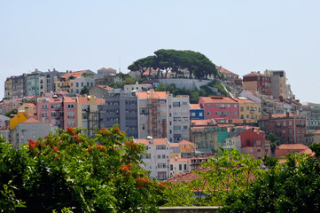Fototapeta na wymiar Old Lisbon city and buildings in summer