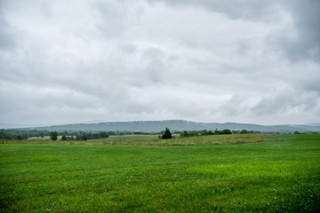 Fototapeta premium Maryland fields