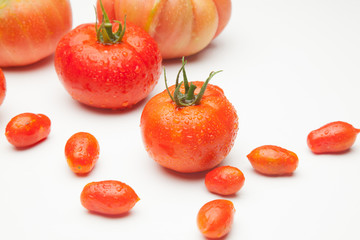 Fototapeta premium Tomates maduros, ecológios, sanos, sabrosos, preparados para ser comidos crudos, en zumos, cocinados en salsas, sopas, mermeladas, sofritos, al horno, fritos, asados en la barbacoa, escalibados, tomat